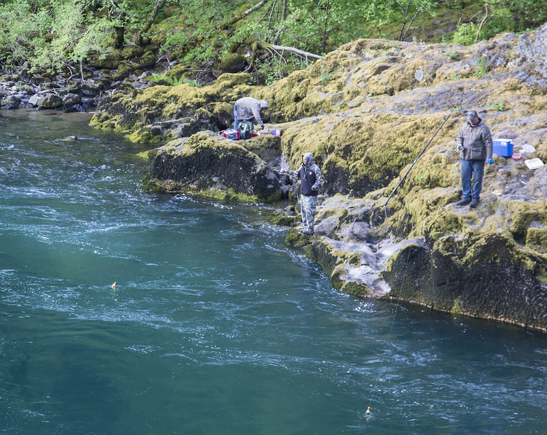 Bank fishing the Umpqua River at Swiftwater Day-Use Area