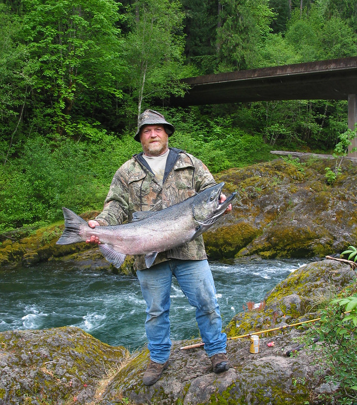 Steelhead caught at Swiftwater Day-Use Area