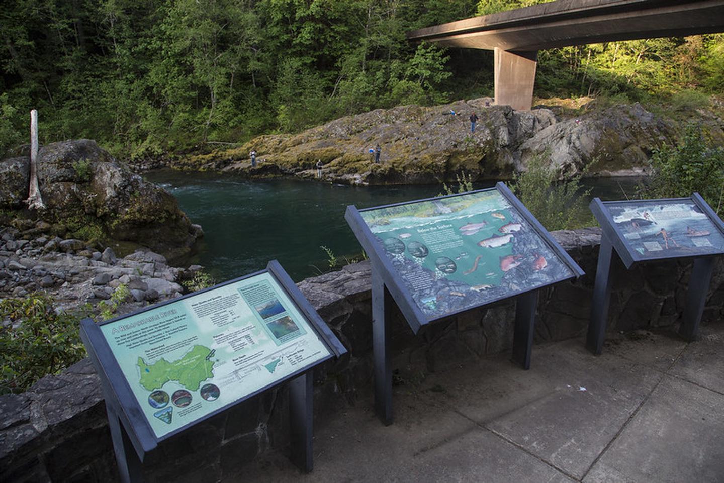 Fish viewing site at Swiftwater Swiftwater Day-Use Area