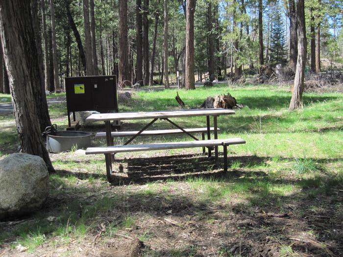 Food locker, picnic table and fire ringSite 79