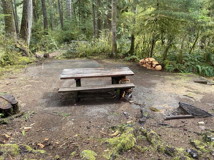 A photo of Site 001 of Loop Willaby at WILLABY CAMPGROUND with Picnic Table, Fire Pit, Tent Pad