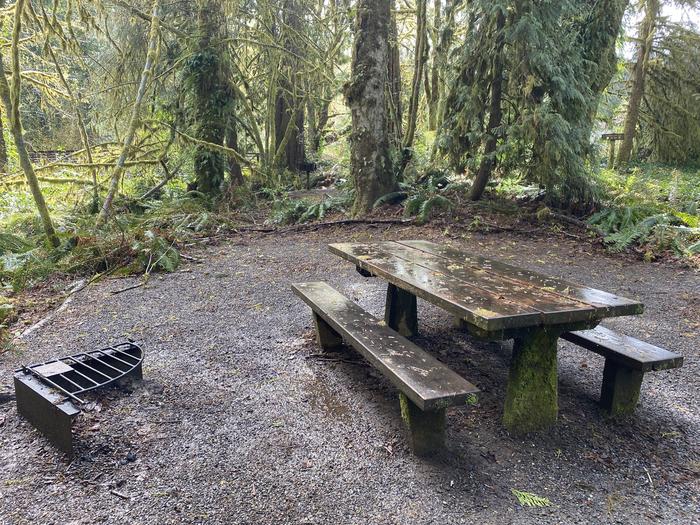 A photo of Site 024 of Loop FALLS CREEK CAMPGROUND at FALLS CREEK CAMPGROUND with Picnic Table, Fire Pit