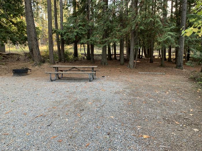 A photo of Site 05 of Loop BIRC at SPRINGY POINT with Picnic Table, Fire Pit, Tent Pad