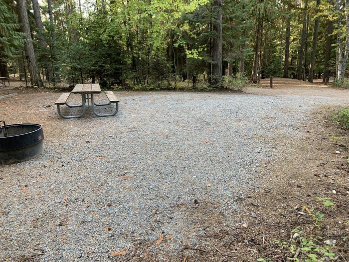 A photo of Site 05 of Loop BIRC at SPRINGY POINT with Picnic Table, Fire Pit, Tent Pad