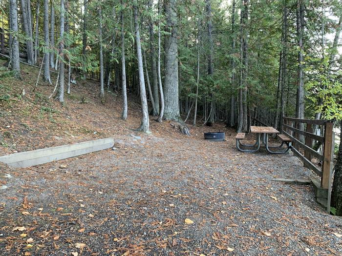 A photo of Site 39 of Loop CEDA at SPRINGY POINT with Picnic Table, Fire Pit, Tent Pad