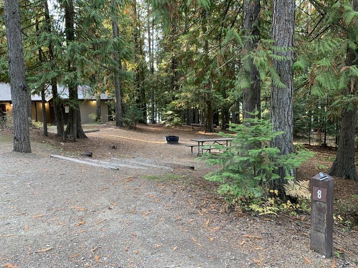 A photo of Site 08 of Loop BIRC at SPRINGY POINT with Picnic Table, Fire Pit