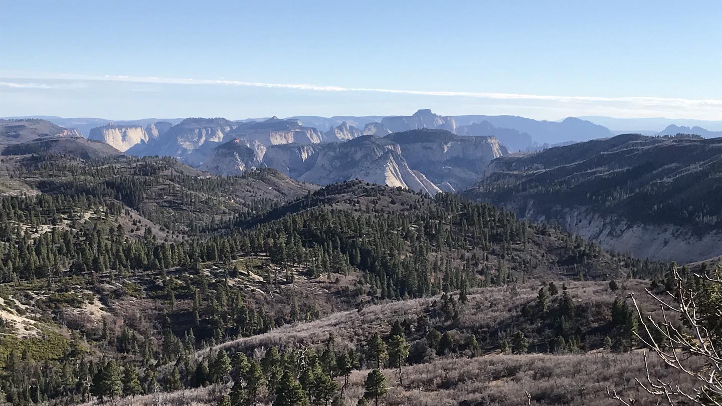 Breathtaking view of rolling forests and Zion's steep canyon walls in the distance. Lava Point Lookout a short distance from Lava Point Campground. 