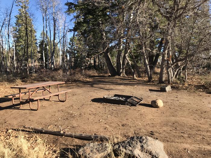 Picnic table and fire ring inside a dirt campsite surrounded by forest. Campsite at Lava Point Campground
