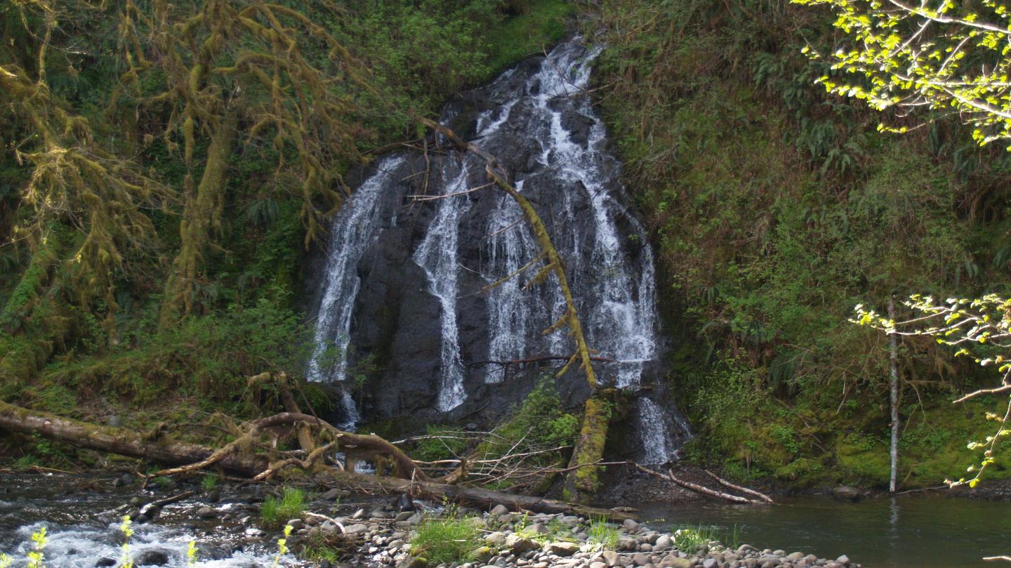 waterfall at Alder Glen