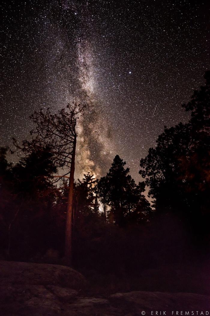 Bright stars and the Milky Way galaxy light up the night sky at Voyageurs