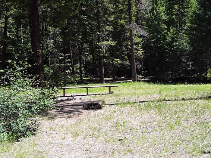 Trout Creek Campground Day Use Area.