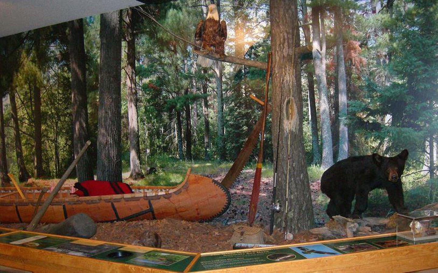 Canoe Bear ExhibitThe Namekagon River Visitor Center has exhibits of scenes from the river.