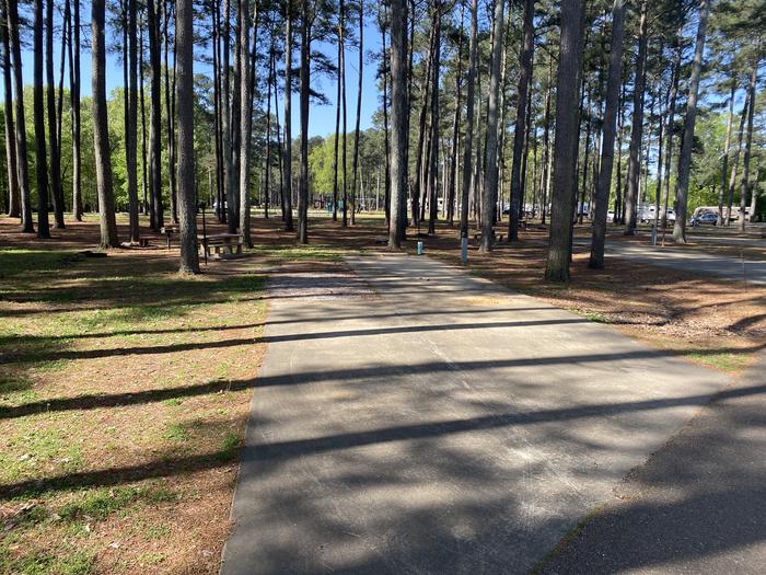 A photo of Site 37 of Loop PERSIMMON HILL at PERSIMMON HILL(ENID LAKE) with Picnic Table, Electricity Hookup, Shade