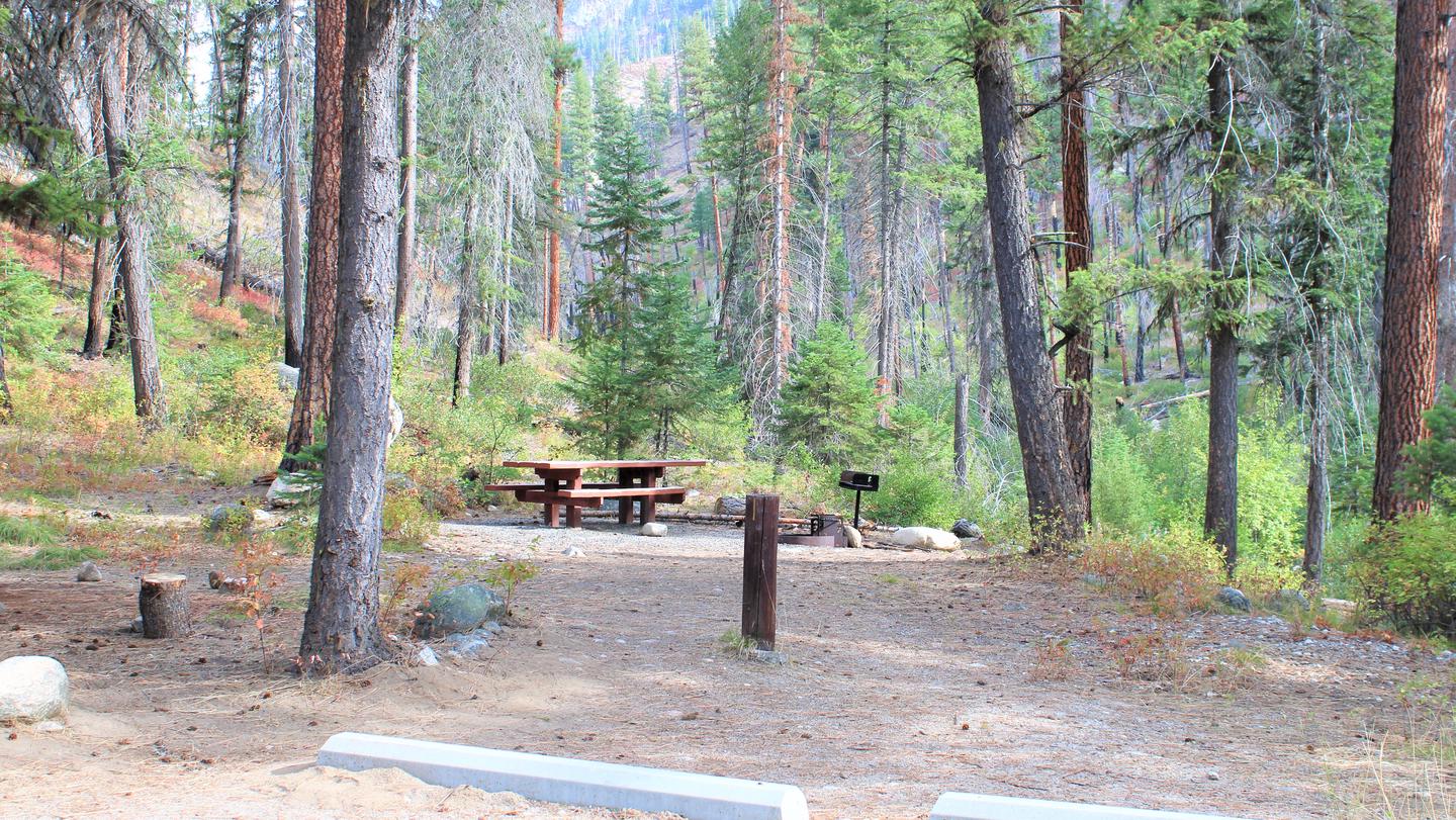 Campsite in the pines with picnic table and fire grill. Secesh Campground Site