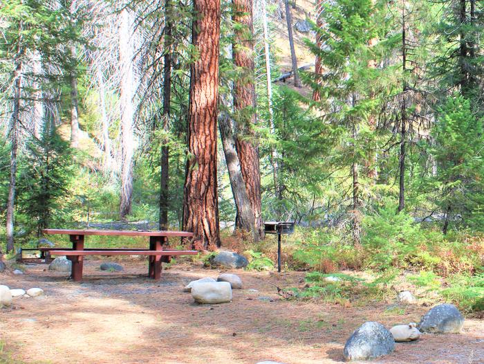 Campsite in the ponderosa pines with picnic table and fire grill. Secesh Campground