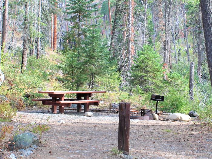 Campsite in the forest with picnic table and fire grill. Secesh Campground