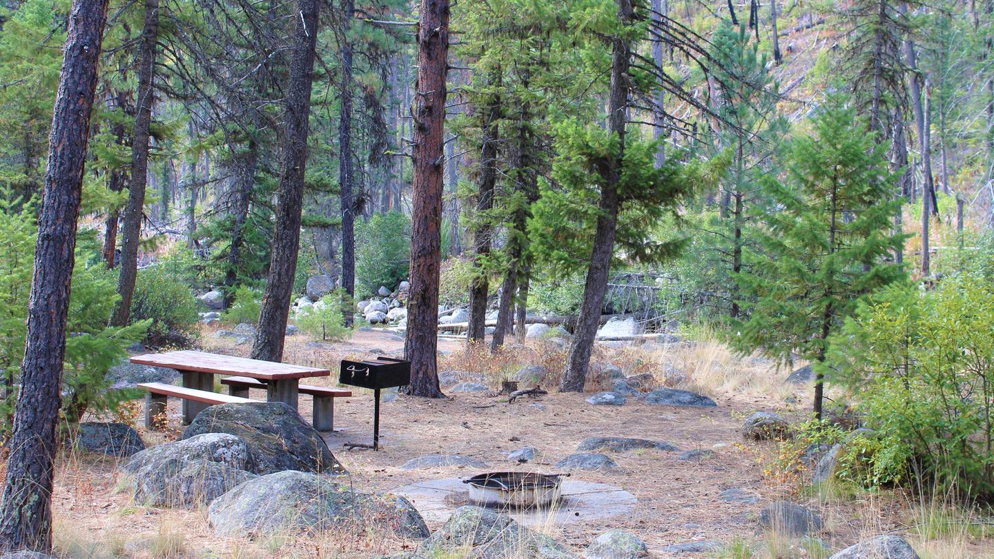 Forested campsite with picnic table, fire ring and grill.Forest campsite at Ponderosa Campground.
