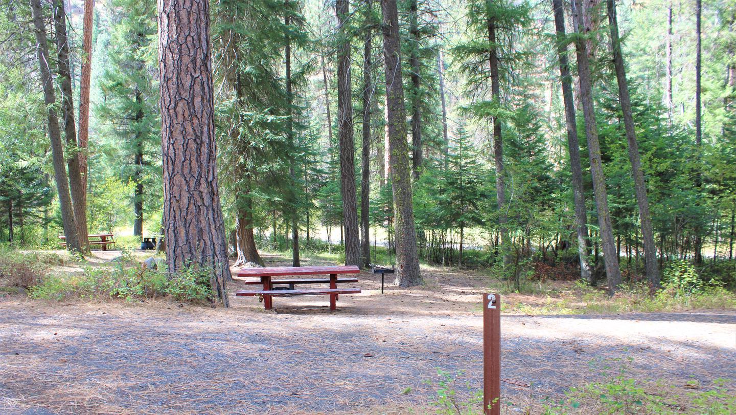 Forested campsite at Buckhorn CampgroundBuckhorn Campground Site #2.