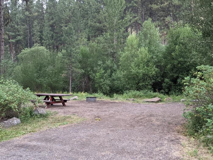 Green forest and shrubs surrounding campsite with picnic table and fire pit. Lafferty Campground Site #8.