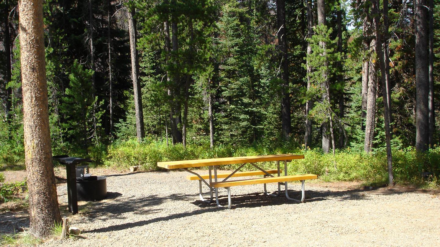 Picnic table and fire ring surrounded by forest.Chinook Campground Site