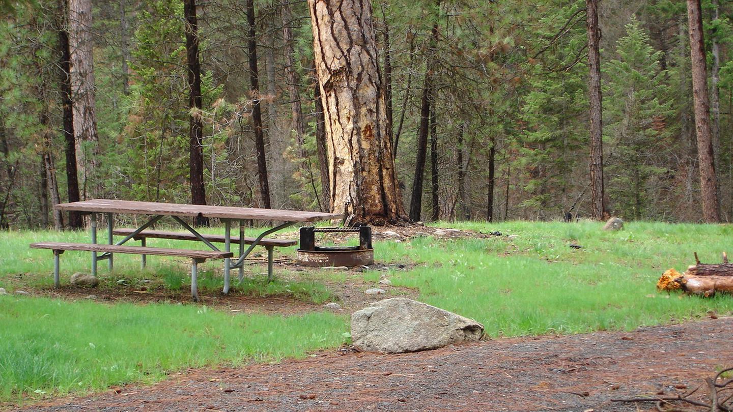 Forested setting with campfire ring and picnic table.Camp Creek Campground