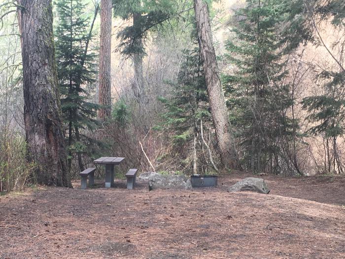 Forested campsite with picnic table and fire ring. Brownlee Site #11