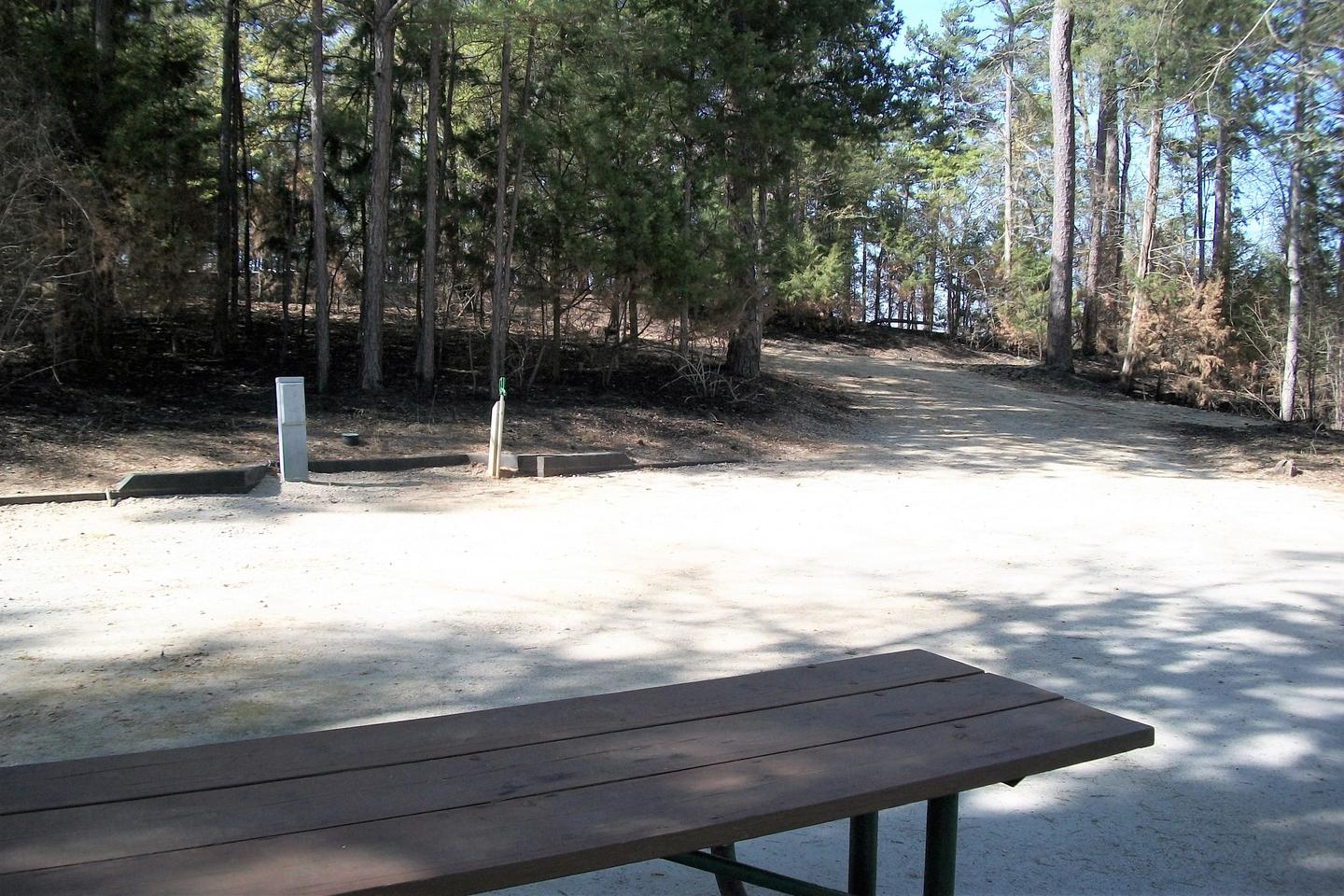 Site 15 picnic table & hook ups