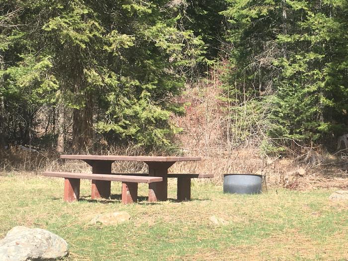 Site with picnic table and fire ring.Cabin Creek Campground