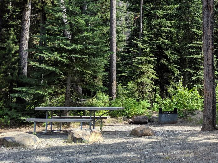 Campsite with picnic table and fire ring in pine forest settingChinook campsite