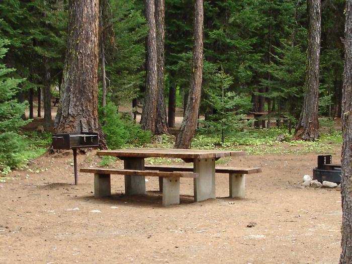 Campsite in forested settingKennally Creek Campground