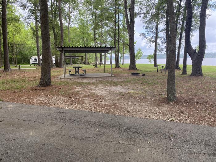 A photo of Site 49 of Loop SCRE at SANDY CREEK with Picnic Table, Fire Pit, Shade, Lantern Pole