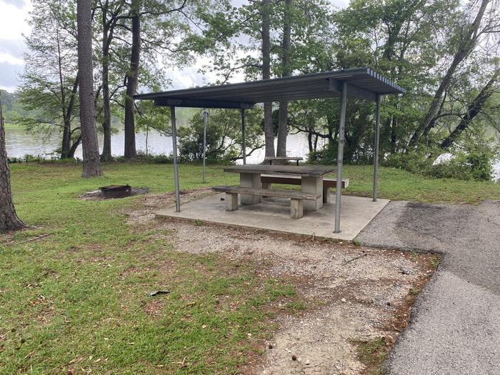 A photo of Site 74 of Loop OFOL at SANDY CREEK with Picnic Table, Fire Pit, Lantern Pole