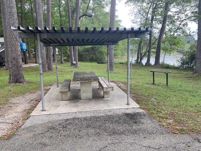 A photo of Site 74 of Loop OFOL at SANDY CREEK with Picnic Table