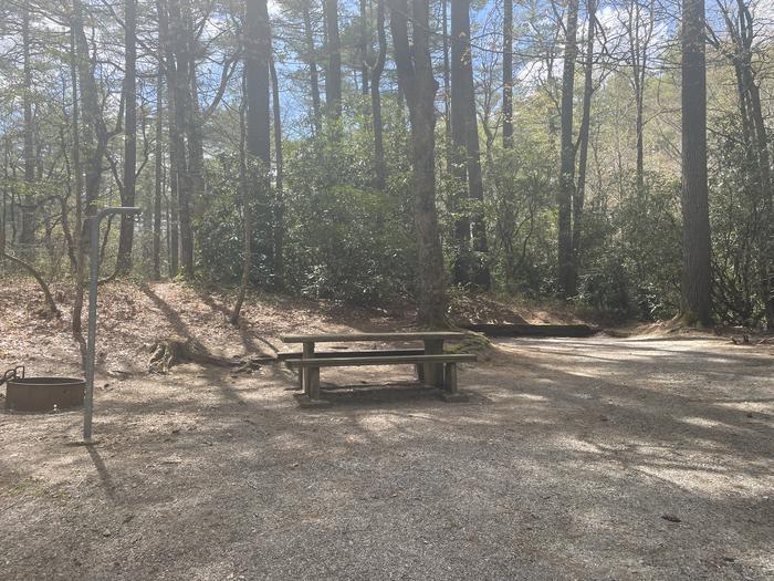 A photo of Site 015 of Loop VAN at VAN HOOK GLADE with Picnic Table, Fire Pit