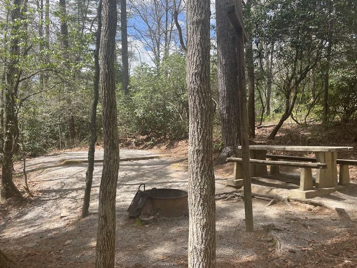 A photo of Site 008 of Loop VAN at VAN HOOK GLADE with Picnic Table, Fire Pit
