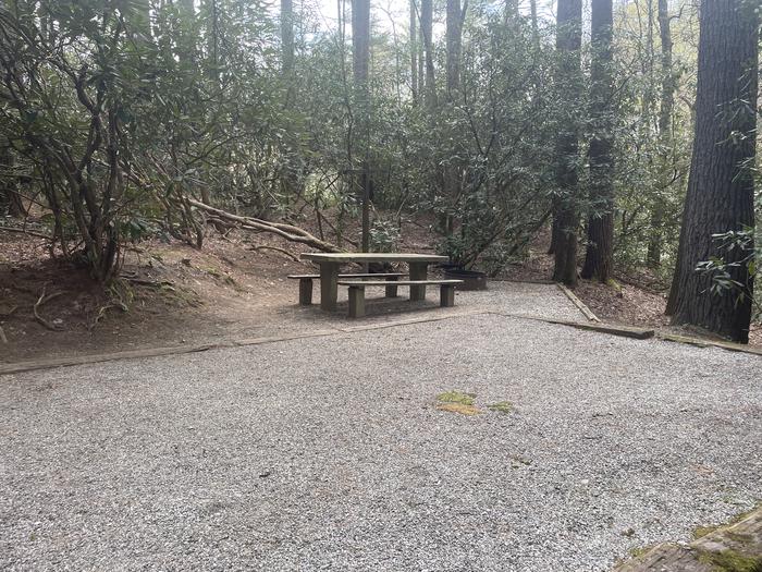 A photo of Site 014 of Loop VAN at VAN HOOK GLADE with Picnic Table, Fire Pit