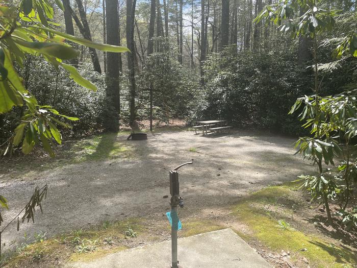 A photo of Site 019 of Loop VAN at VAN HOOK GLADE with Picnic Table, Fire Pit