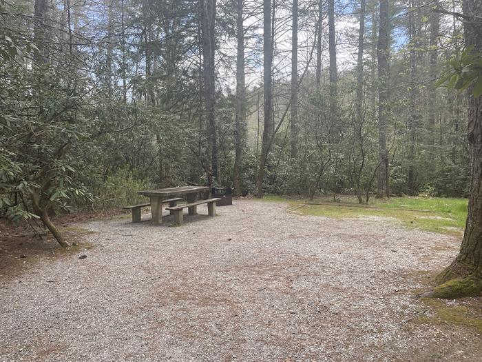 A photo of Site 021 of Loop Management Sites at VAN HOOK GLADE with Picnic Table, Fire Pit