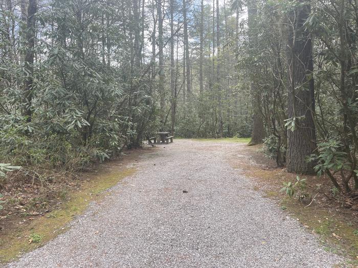 A photo of Site 021 of Loop Management Sites at VAN HOOK GLADE with Picnic Table