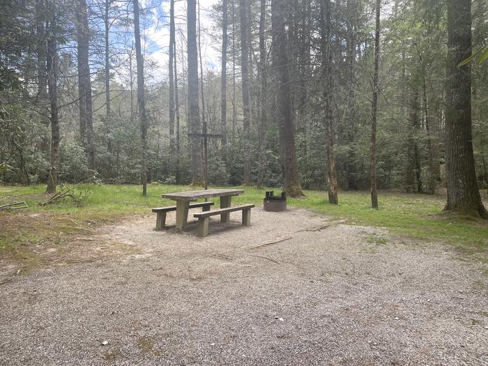 A photo of Site 020 of Loop VAN at VAN HOOK GLADE with Picnic Table, Fire Pit, Lantern Pole