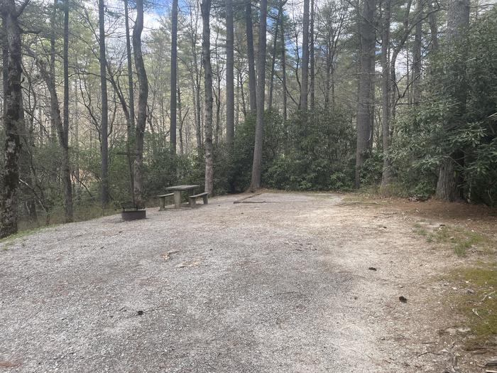 A photo of Site 016 of Loop VAN at VAN HOOK GLADE with Picnic Table, Fire Pit