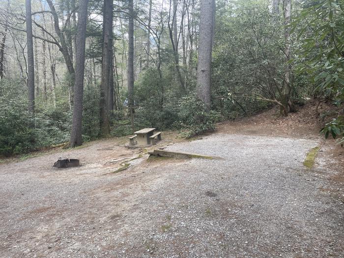 A photo of Site 013 of Loop VAN at VAN HOOK GLADE with Picnic Table, Fire Pit