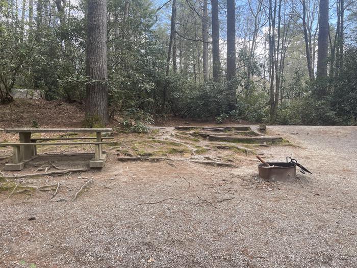 A photo of Site 013 of Loop VAN at VAN HOOK GLADE with Picnic Table, Fire Pit