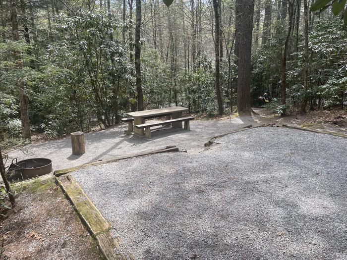 A photo of Site 007 of Loop VAN at VAN HOOK GLADE with Picnic Table, Fire Pit