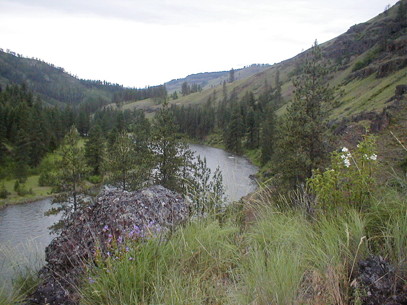 View of the Grande Ronde Middle Section