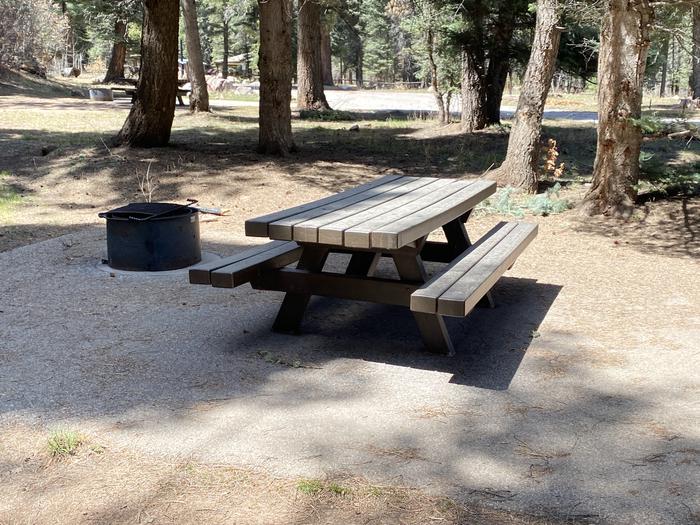 A photo of Site 010 of Loop Loop 2 at CLEAR CREEK CAMPGROUND (NM) with Picnic Table, Fire Pit