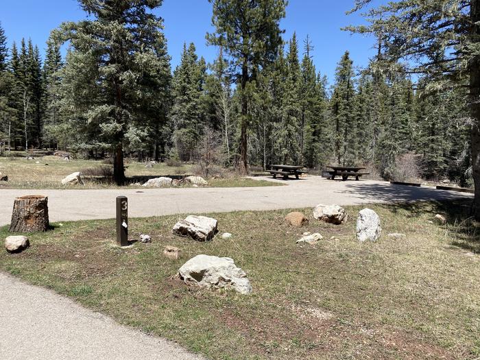 Site 3 with picnic tables, a fire ring, and a two-space parking area.