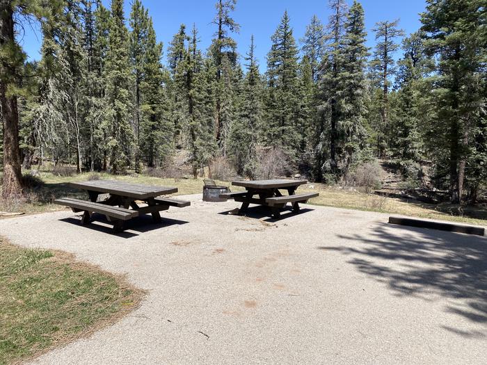 A photo of Site 003 of Loop Loop 1 at CLEAR CREEK CAMPGROUND (NM) with Picnic Table, Fire Pit