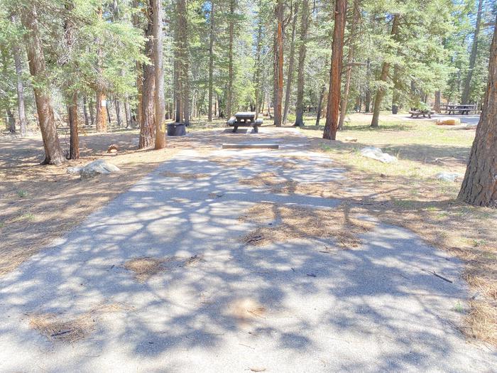 A photo of Site 006 of Loop Loop 2 at CLEAR CREEK CAMPGROUND (NM) with Picnic Table, Fire Pit