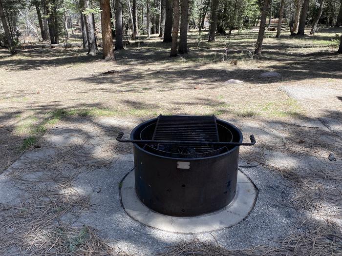 A photo of Site 006 of Loop Loop 2 at CLEAR CREEK CAMPGROUND (NM) with Fire Pit